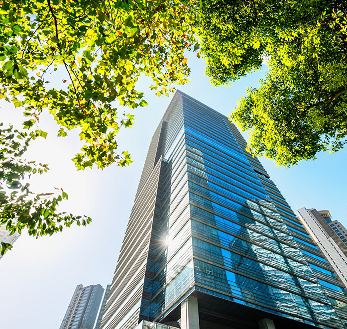 A glass office tower seen from below, framed by sunlit tree canopy